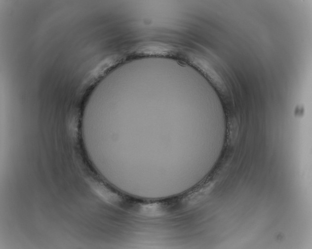 X0000090710309200708171911