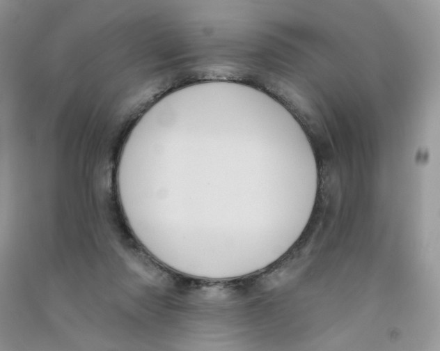 X0000090710310200708171911