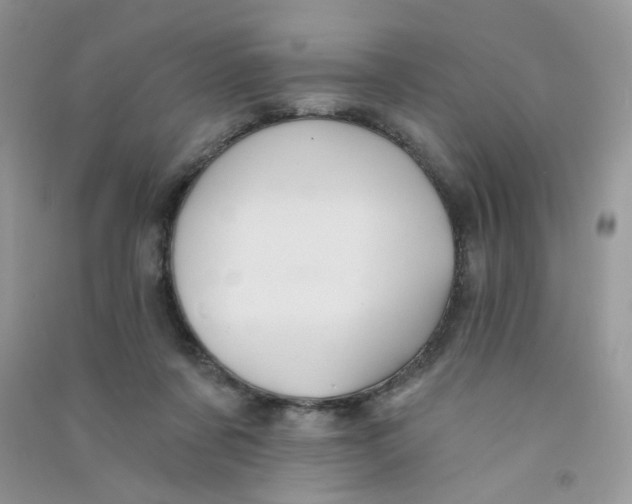 X0000090710311200708171911