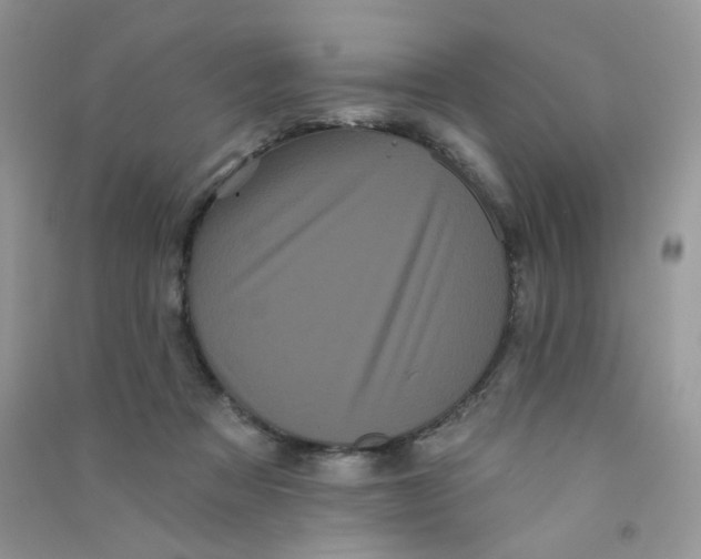 X0000090710313200708171911