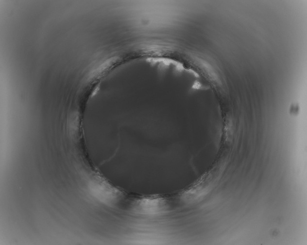 X0000090710314200708171911