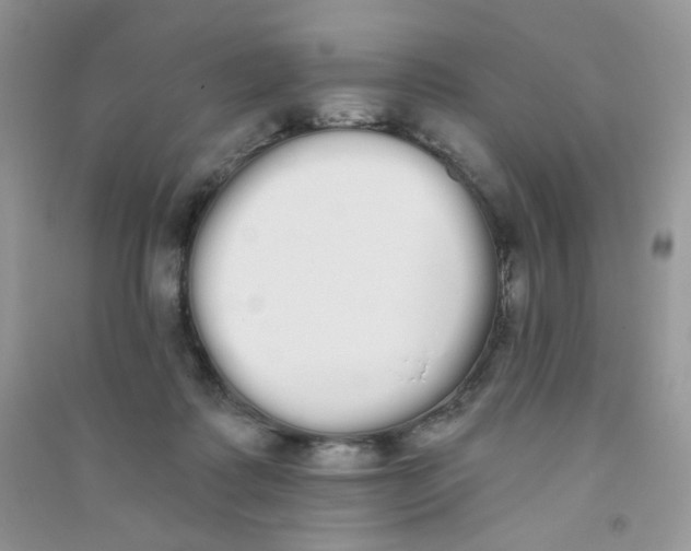 X0000090710315200708171911