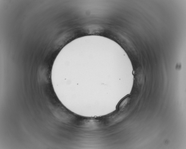 X0000090710316200708171911