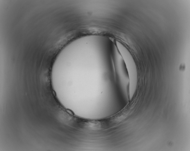 X0000090710317200708171911