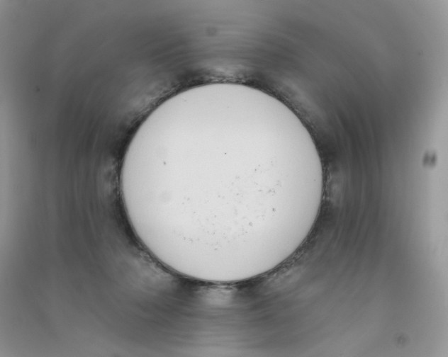 X0000090710318200708171911