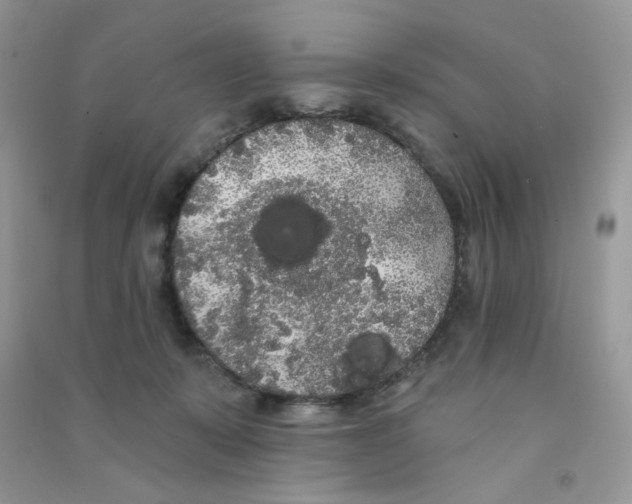 X0000090710319200708171911