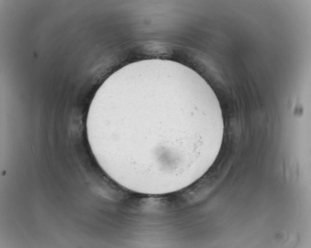 X0000090710320200708171911