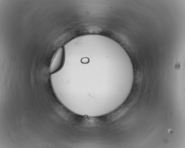 X0000090710321200708171911