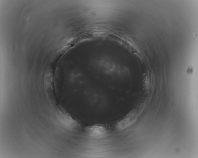 X0000090710322200708171911