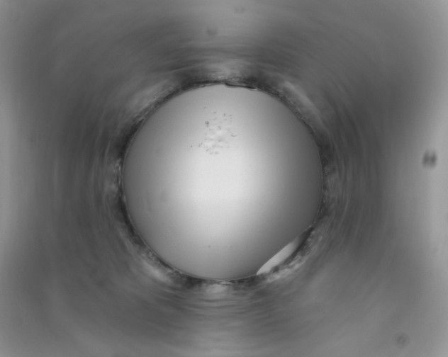 X0000090710325200708171911