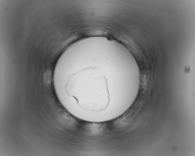 X0000090710326200708171911