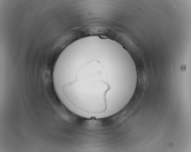 X0000090710327200708171911