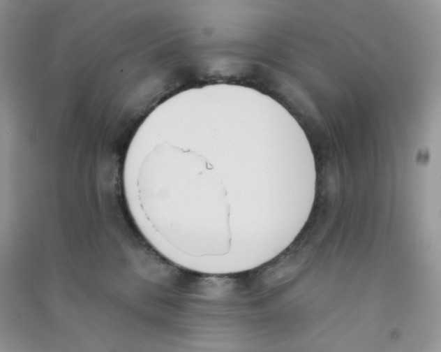 X0000090710328200708171911