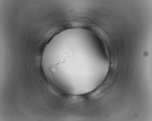 X0000090710329200708171911