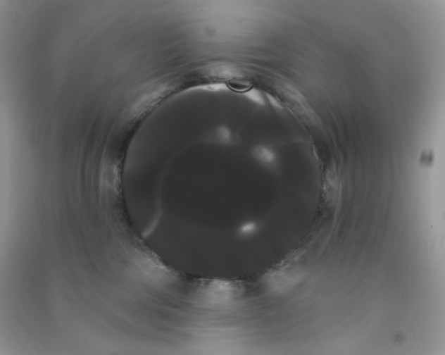 X0000090710330200708171911