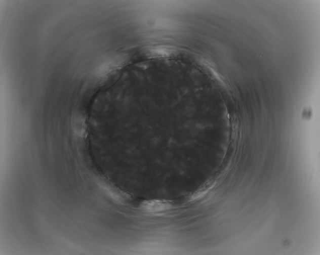 X0000090710331200708171911