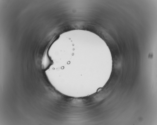 X0000090710332200708171911