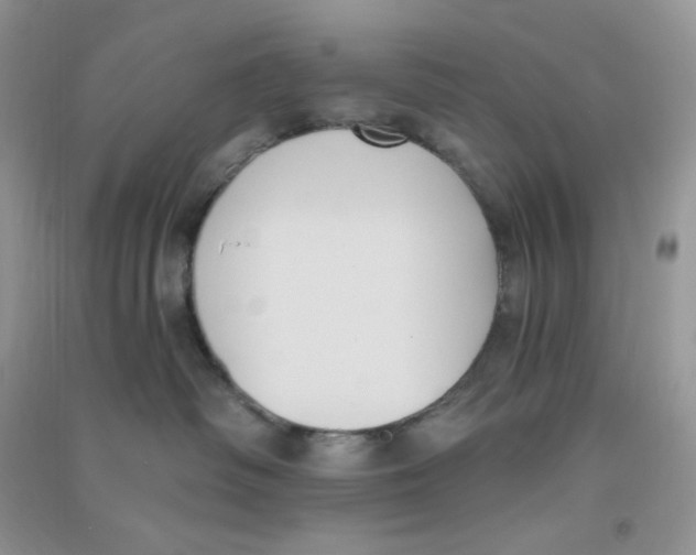 X0000090710334200708171911