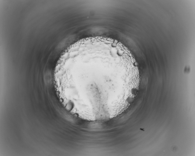 X0000090710335200708171911