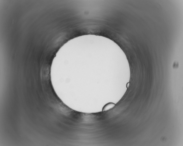 X0000090710336200708171911