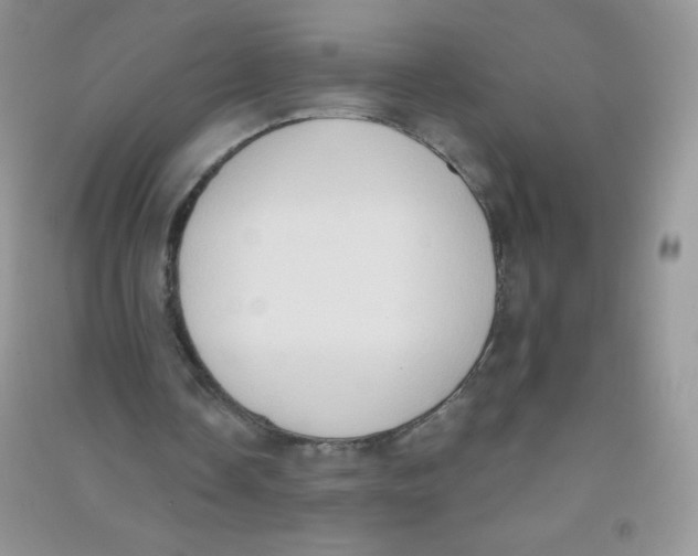 X0000090710338200708171911