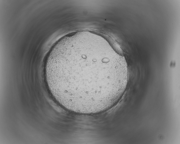 X0000090710339200708171911