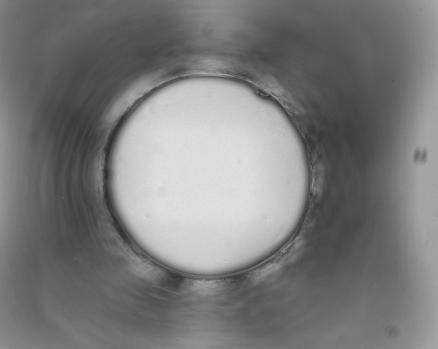 X0000090710341200708171911