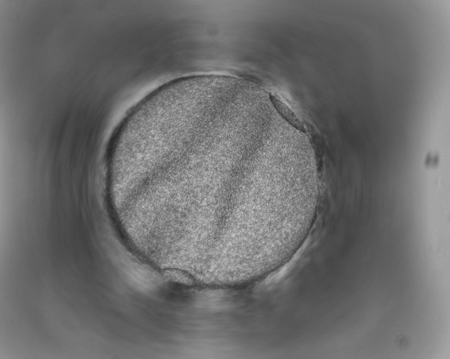 X0000090710342200708171911