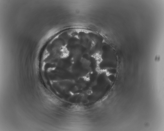 X0000090710343200708171911