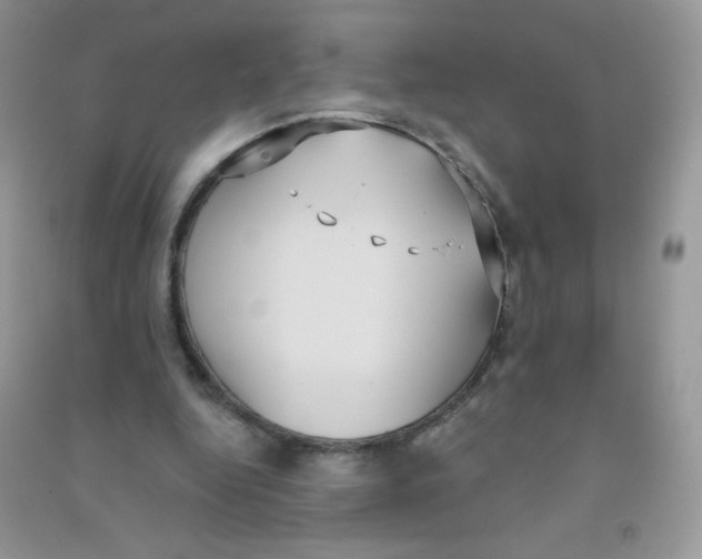 X0000090710344200708171911