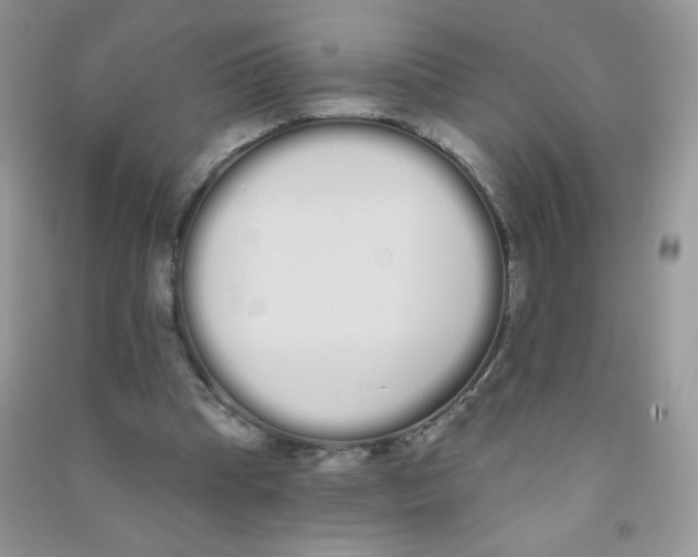 X0000090710345200708171911