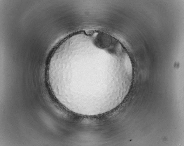 X0000090710346200708171911