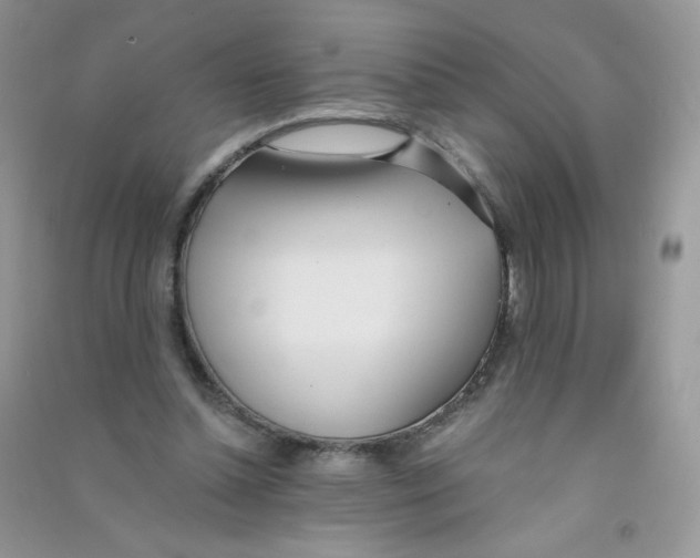 X0000090710348200708171911