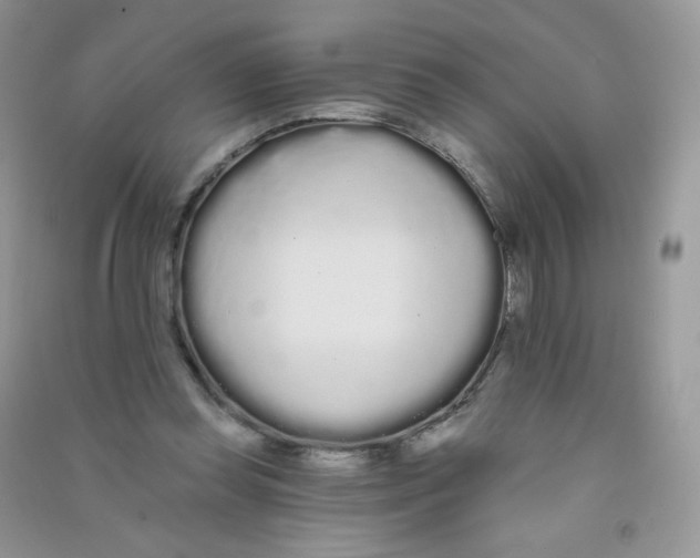 X0000090710349200708171911