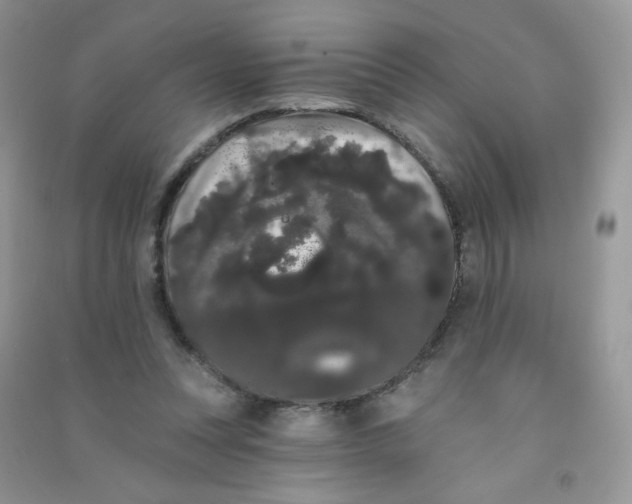 X0000090710351200708171911