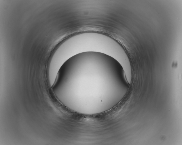 X0000090710352200708171911