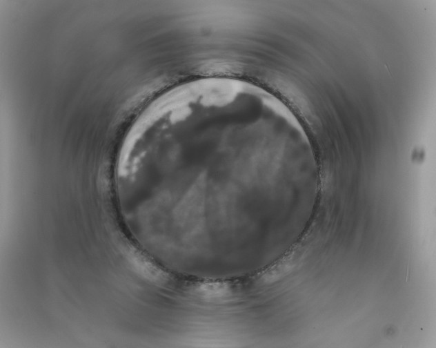 X0000090710353200708171911