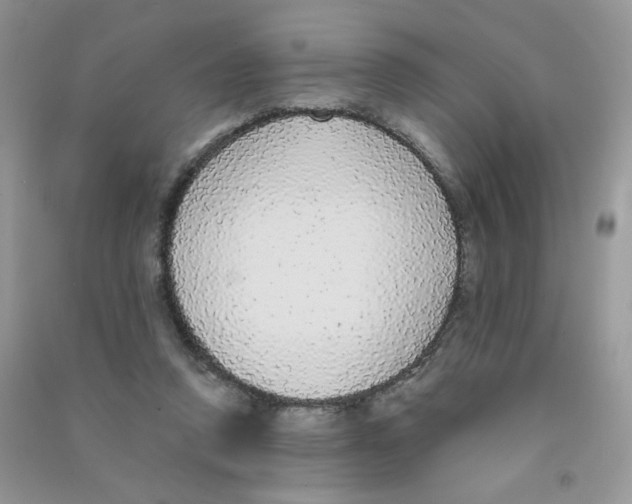 X0000090710354200708171911