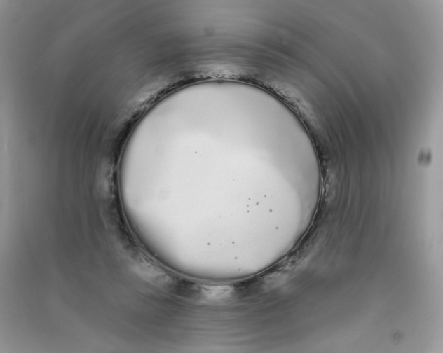 X0000090710355200708171911