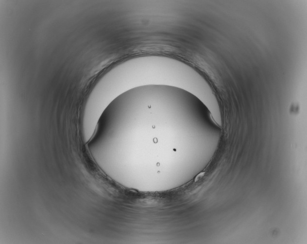 X0000090710356200708171911