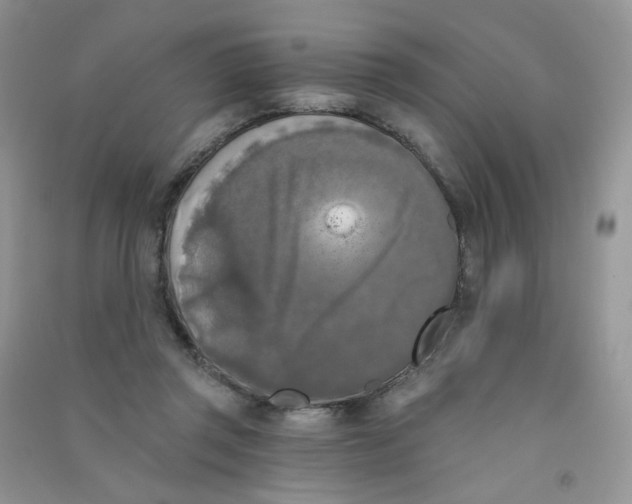 X0000090710357200708171911