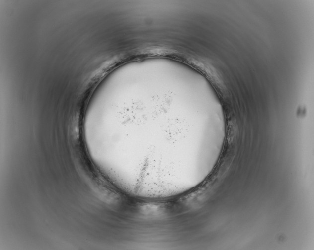 X0000090710358200708171911