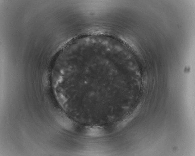 X0000090710359200708171911