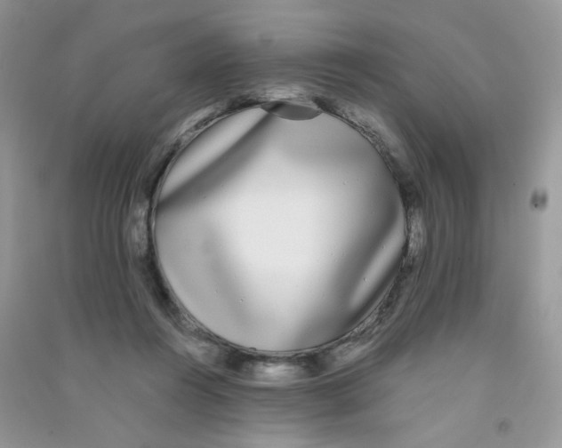 X0000090710360200708171911