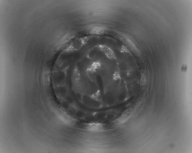 X0000090710363200708171911