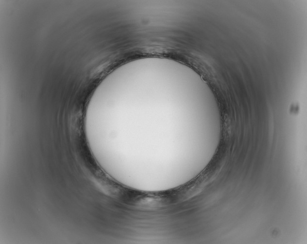 X0000090710364200708171911