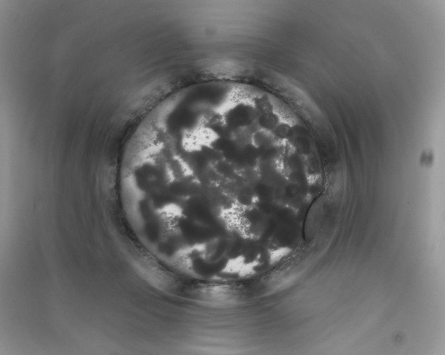 X0000090710365200708171911