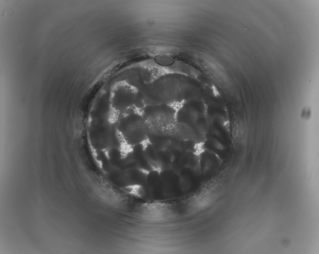 X0000090710367200708171911