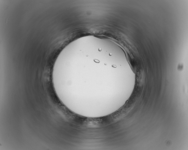 X0000090710368200708171911