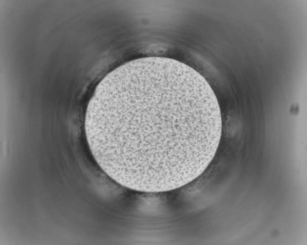 X0000090710370200708171911